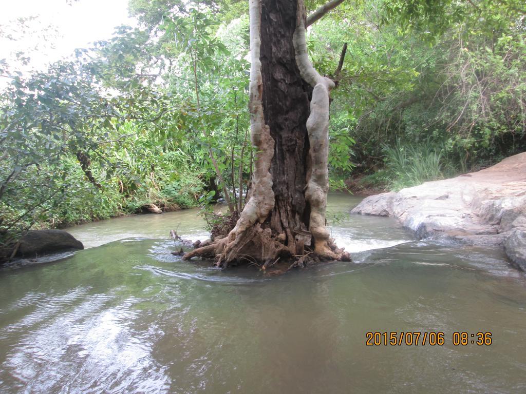 Sigiriya River Side Resort Εξωτερικό φωτογραφία