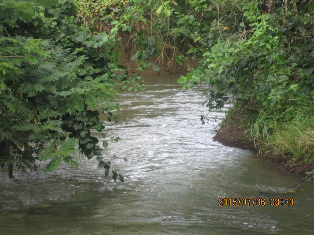 Sigiriya River Side Resort Εξωτερικό φωτογραφία
