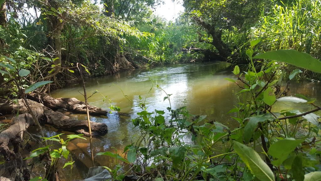 Sigiriya River Side Resort Εξωτερικό φωτογραφία