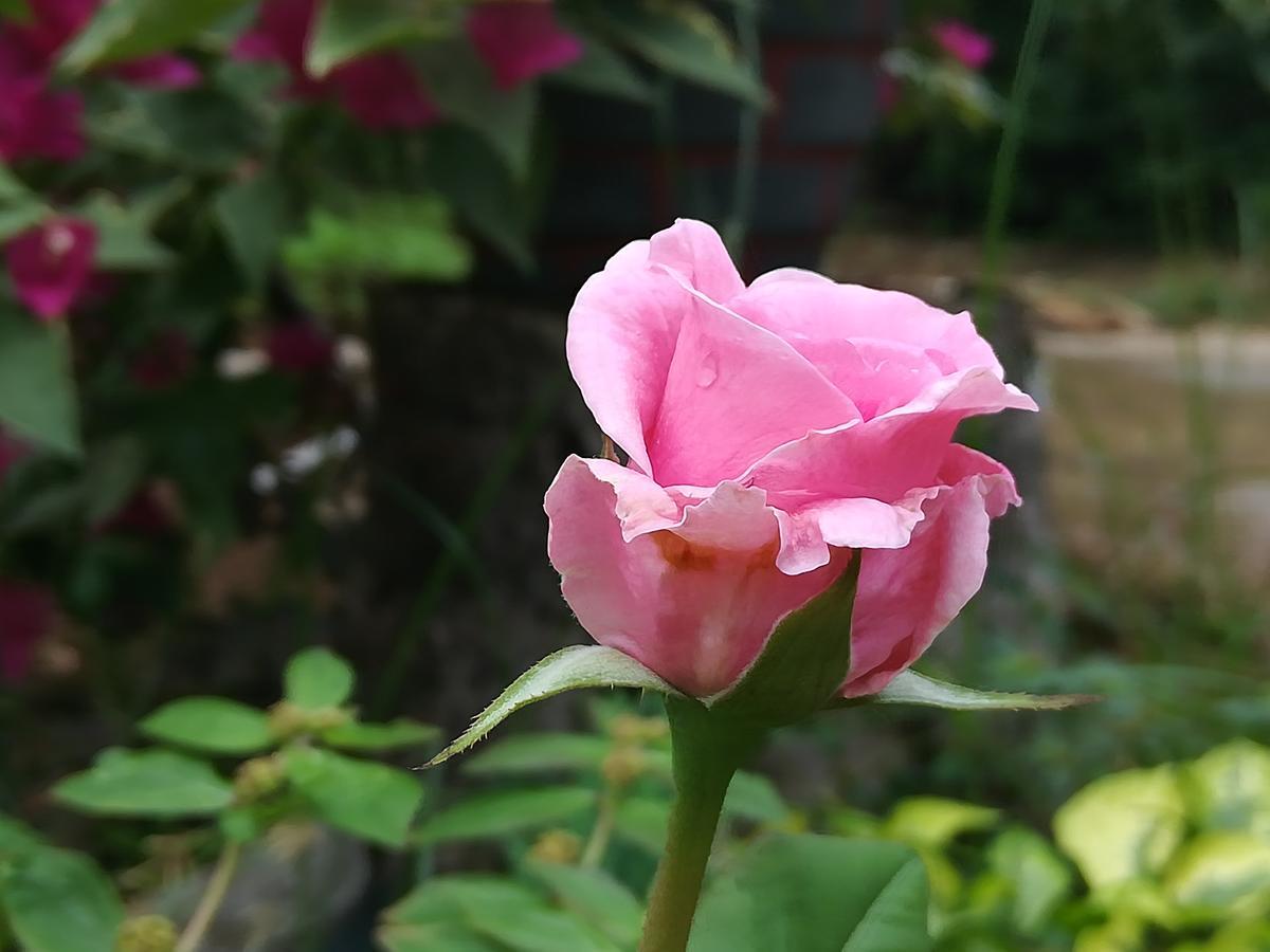 Sigiriya River Side Resort Εξωτερικό φωτογραφία